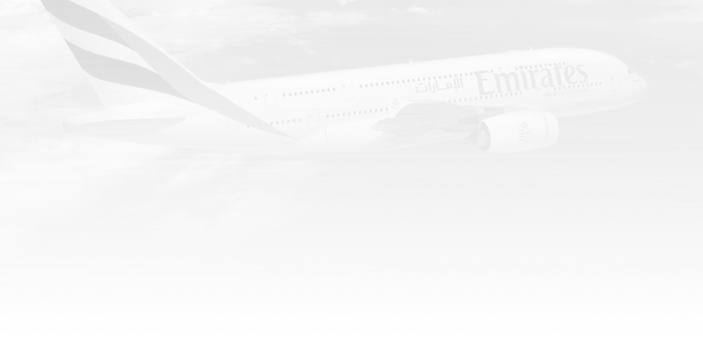 Where we fly | Emirates Brazil